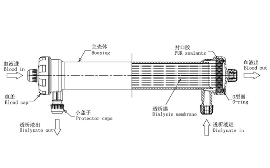 Structure of a hemodialyzer