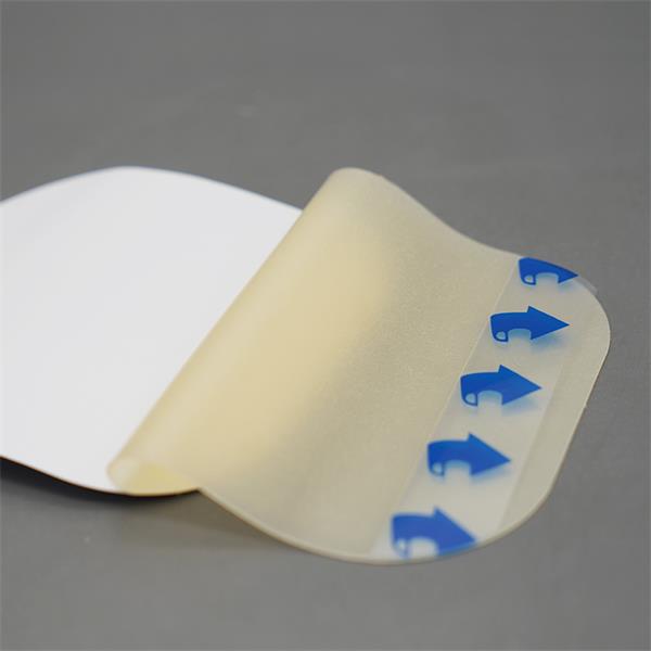 Hydrocolloid Wound Dressings